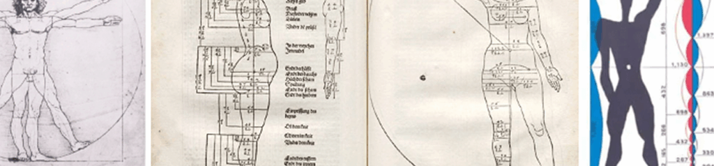 detail of human propertions