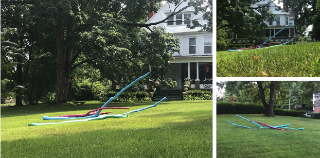 Summer 2018—three branches in the yard (author’s collection)